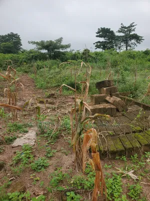 Land for Sell