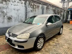 Volkswagen Golf 2005 Gray