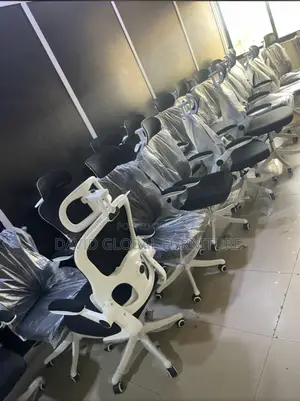 Spine Support Chair