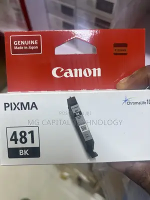 Canon 480 481 Original Ink