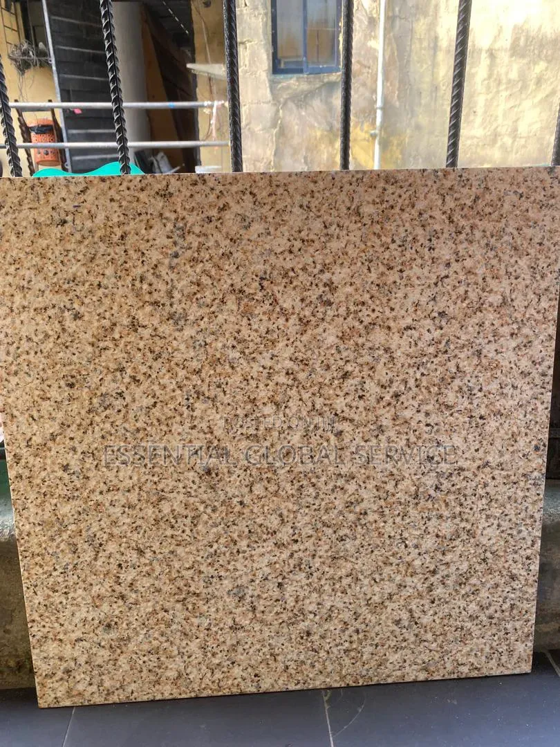 60*60 Matt Granite Tiles