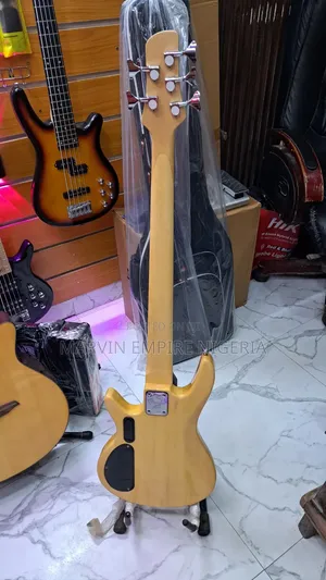 Fender Professional Electric Bass 5 Strings Guitar