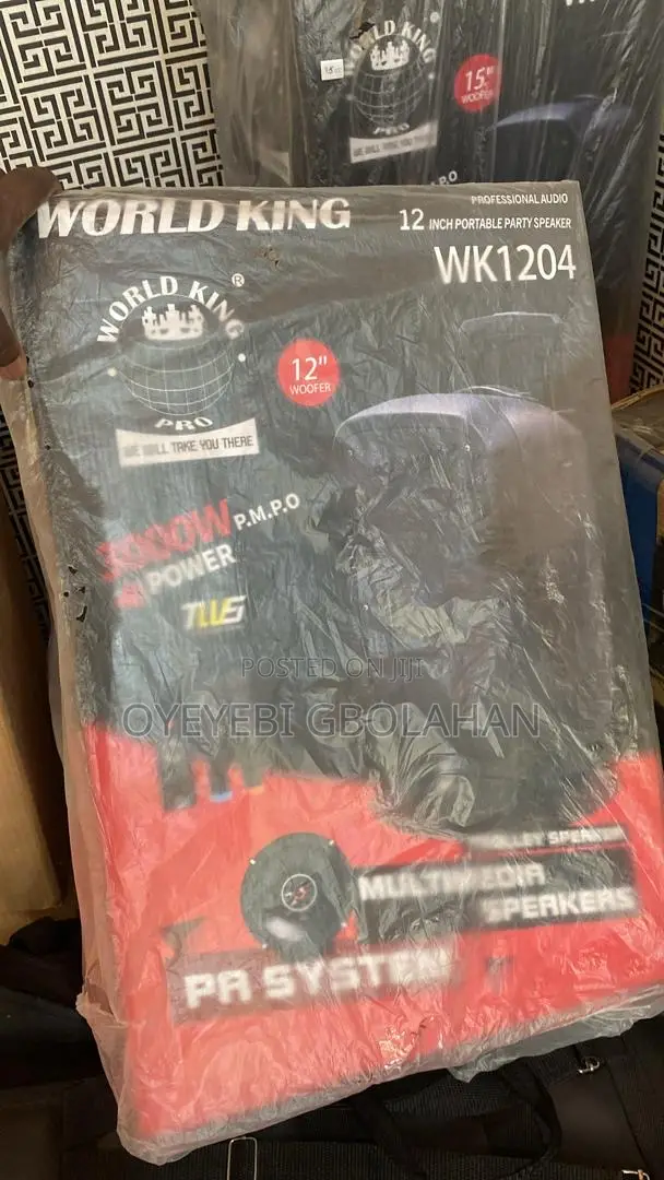 12 Inches PA System Worldking