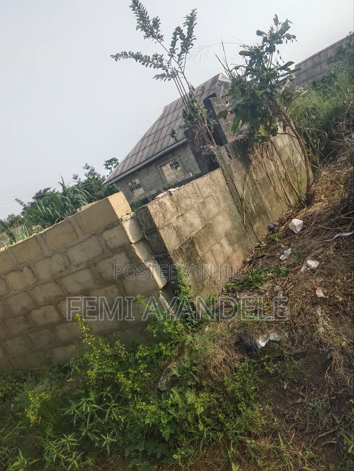 Complete Full Plot