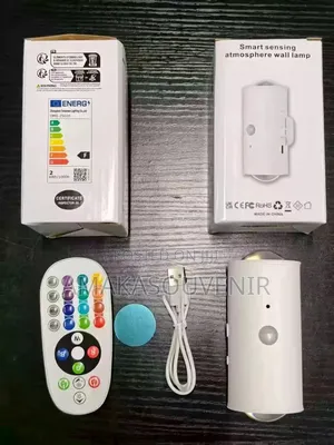 Smart Sensor Wall Light With Remote