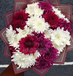 Girlfriend’s Day Surprise