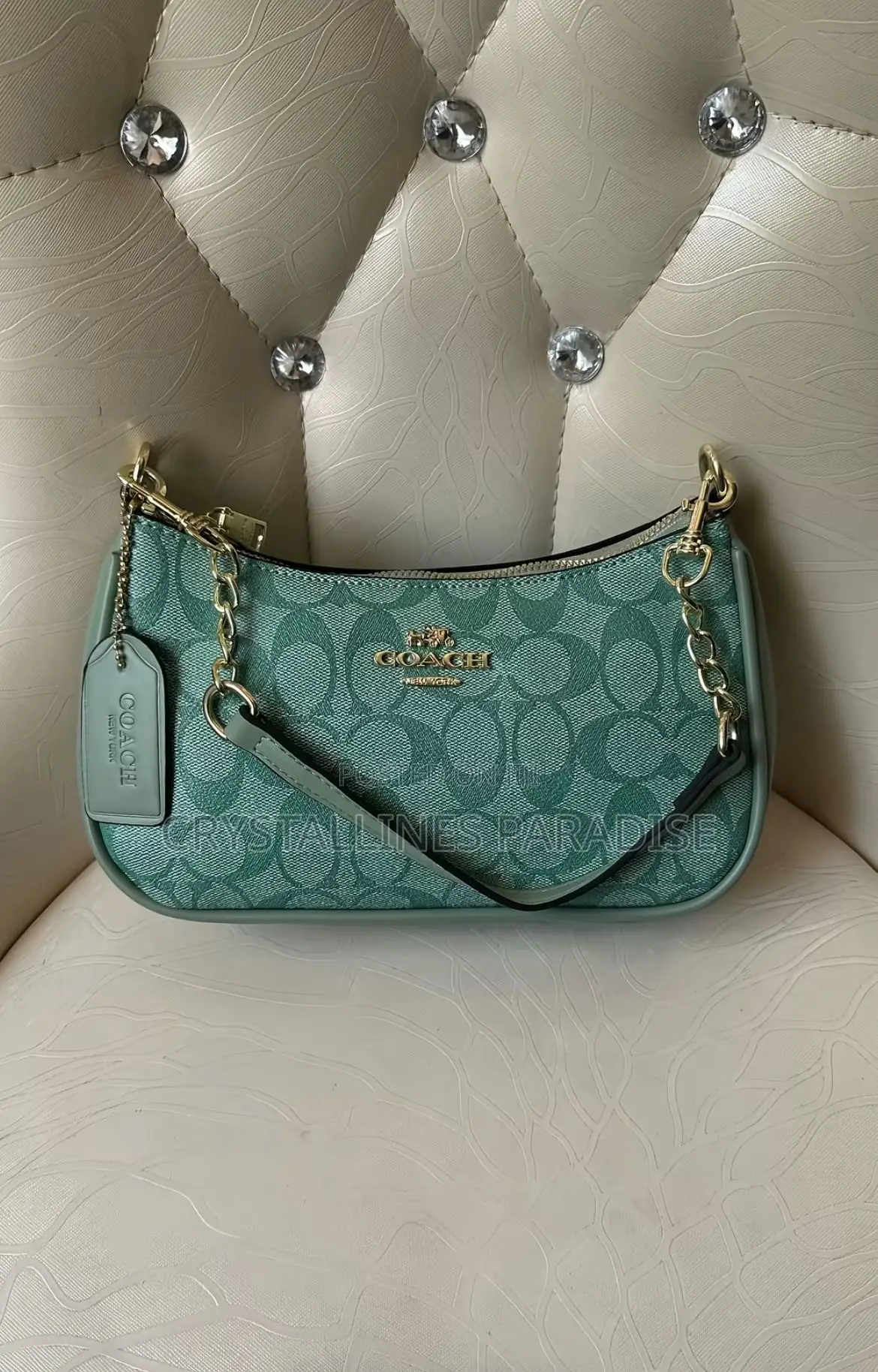 Coach Teri Bags