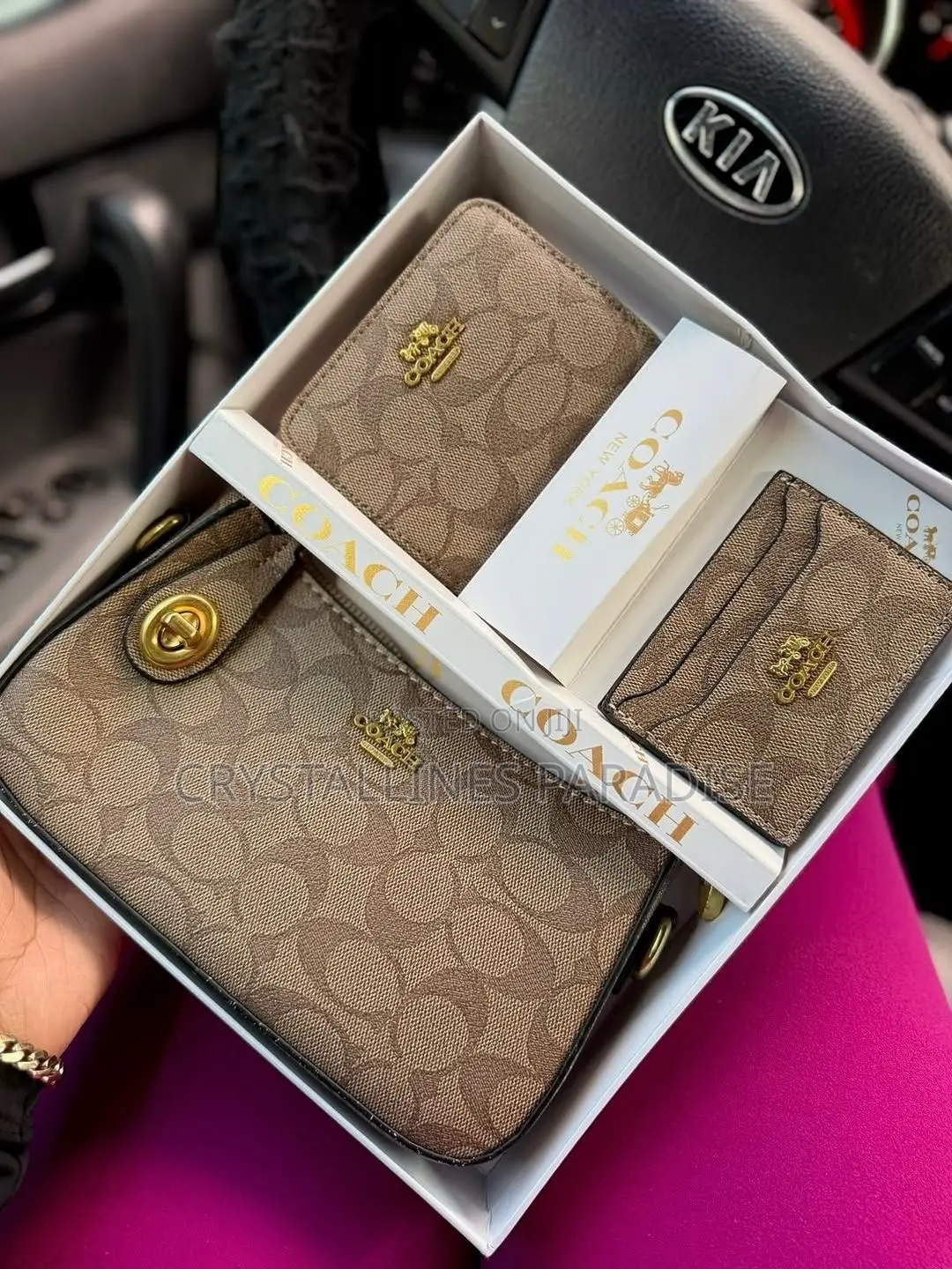 Coach Bag Set