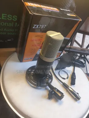 Professional Birdsinger B-99 Condenser Mic