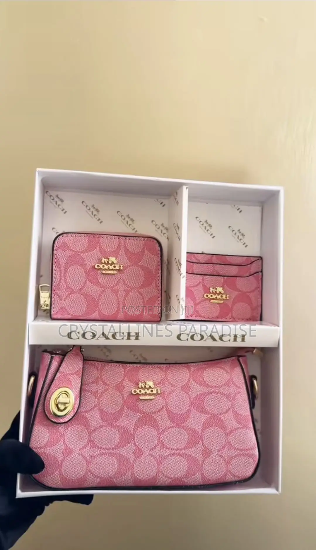 Coach Bag Set