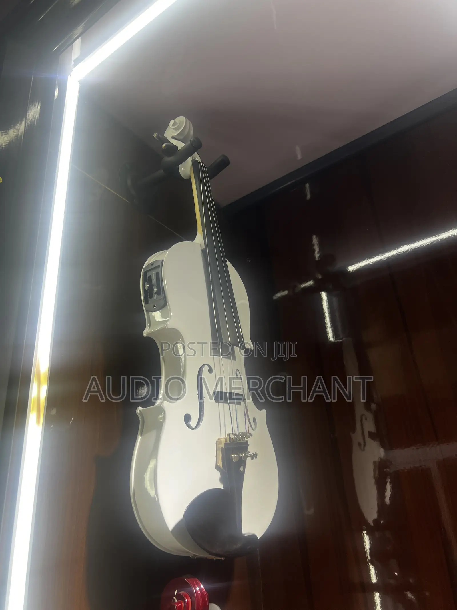 Electric Acoustic Violin