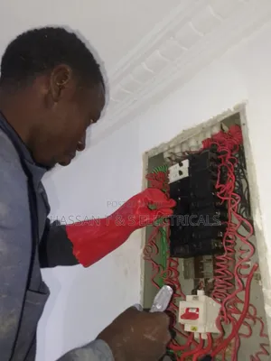 Professional Electrician
