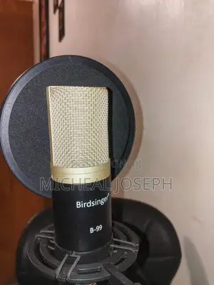 Sound Card and Mic
