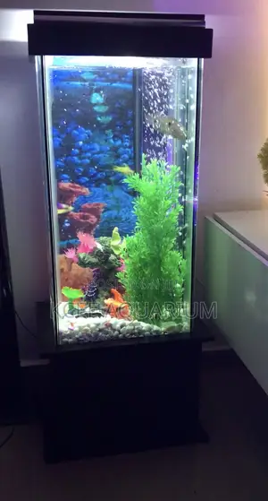 64 Litres Aquarium