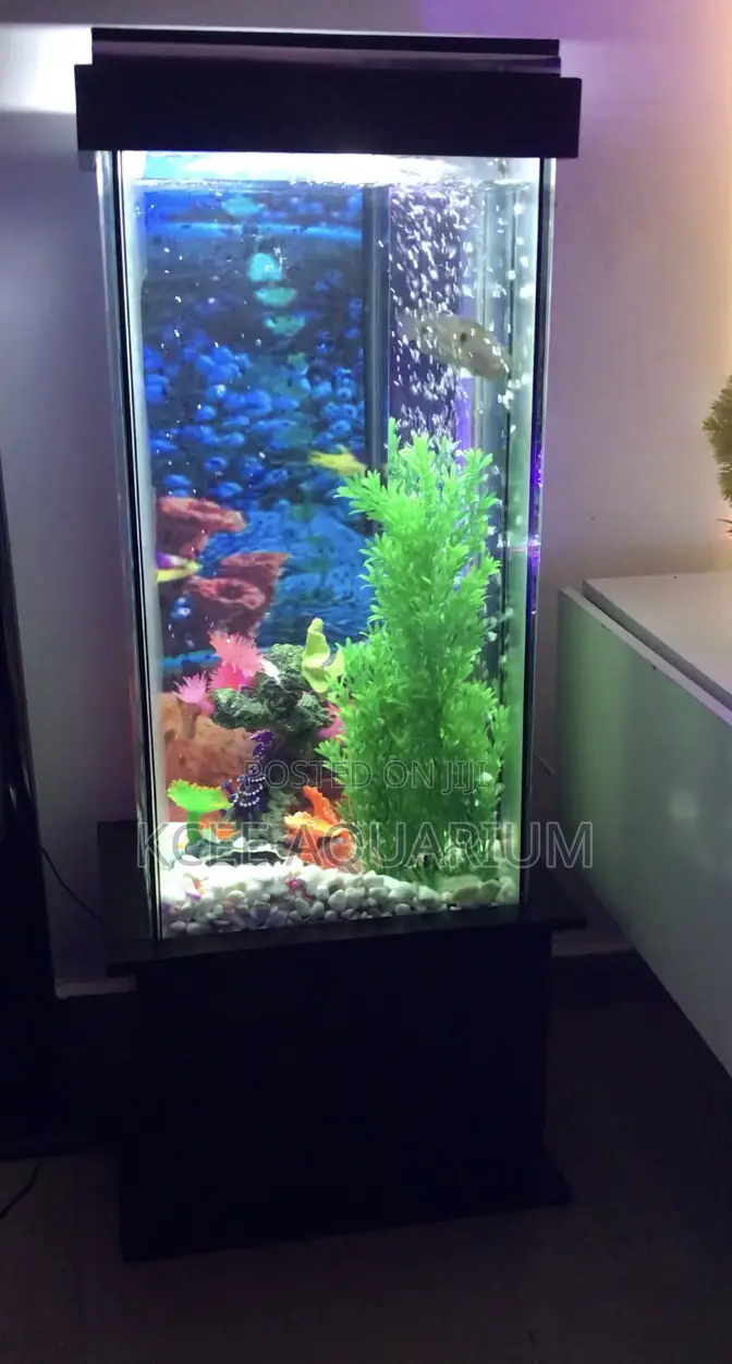 64 Litres Aquarium
