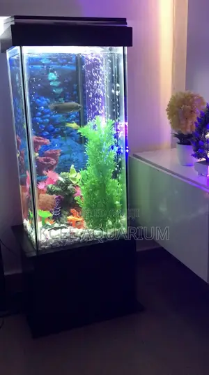 64 Litres Aquarium