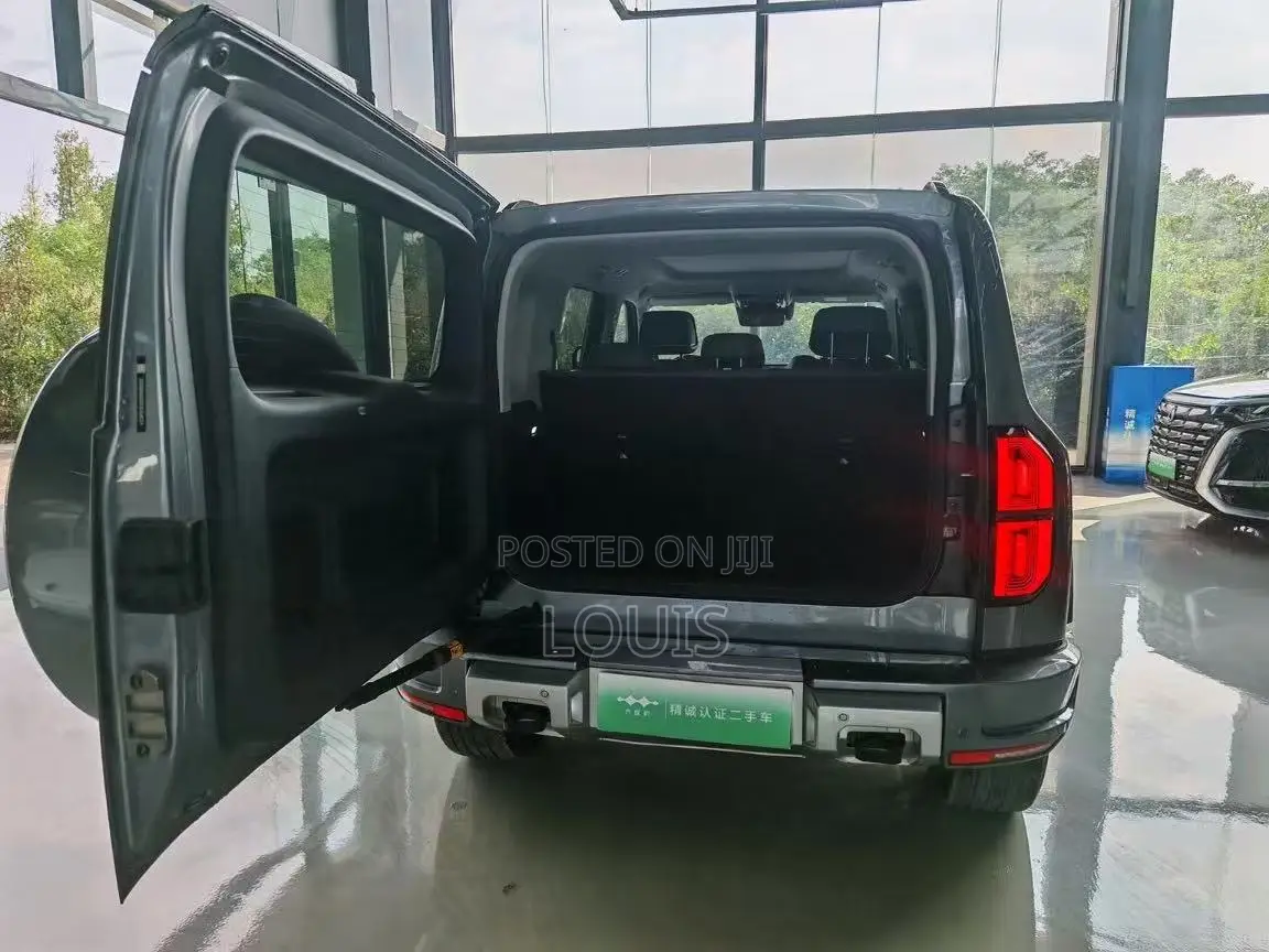 BYD Leopard 5 2025 Gray