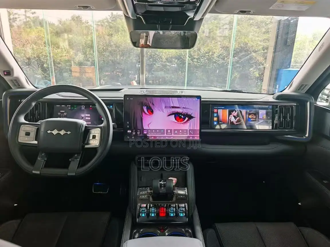 BYD Leopard 5 2025 Gray