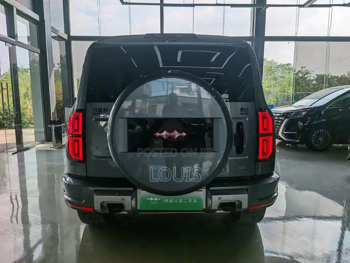 BYD Leopard 5 2025 Gray