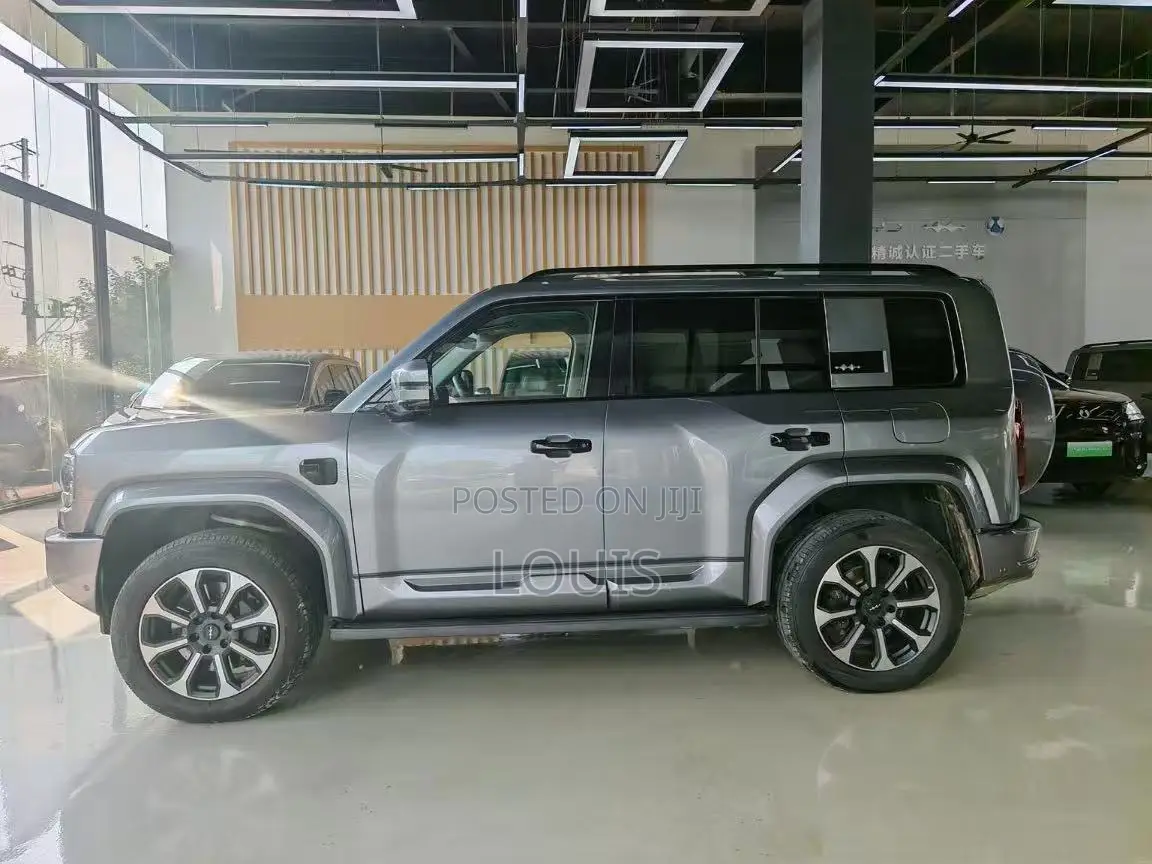 BYD Leopard 5 2025 Gray