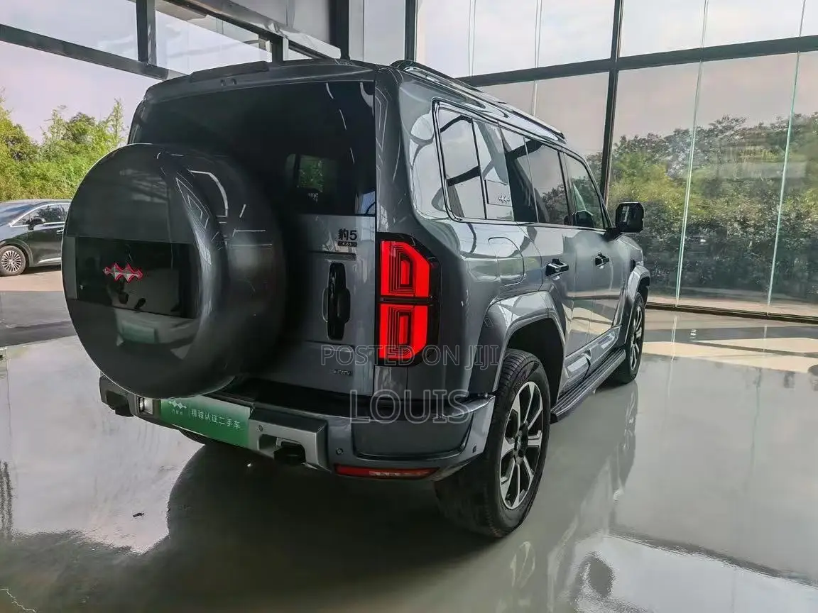 BYD Leopard 5 2025 Gray