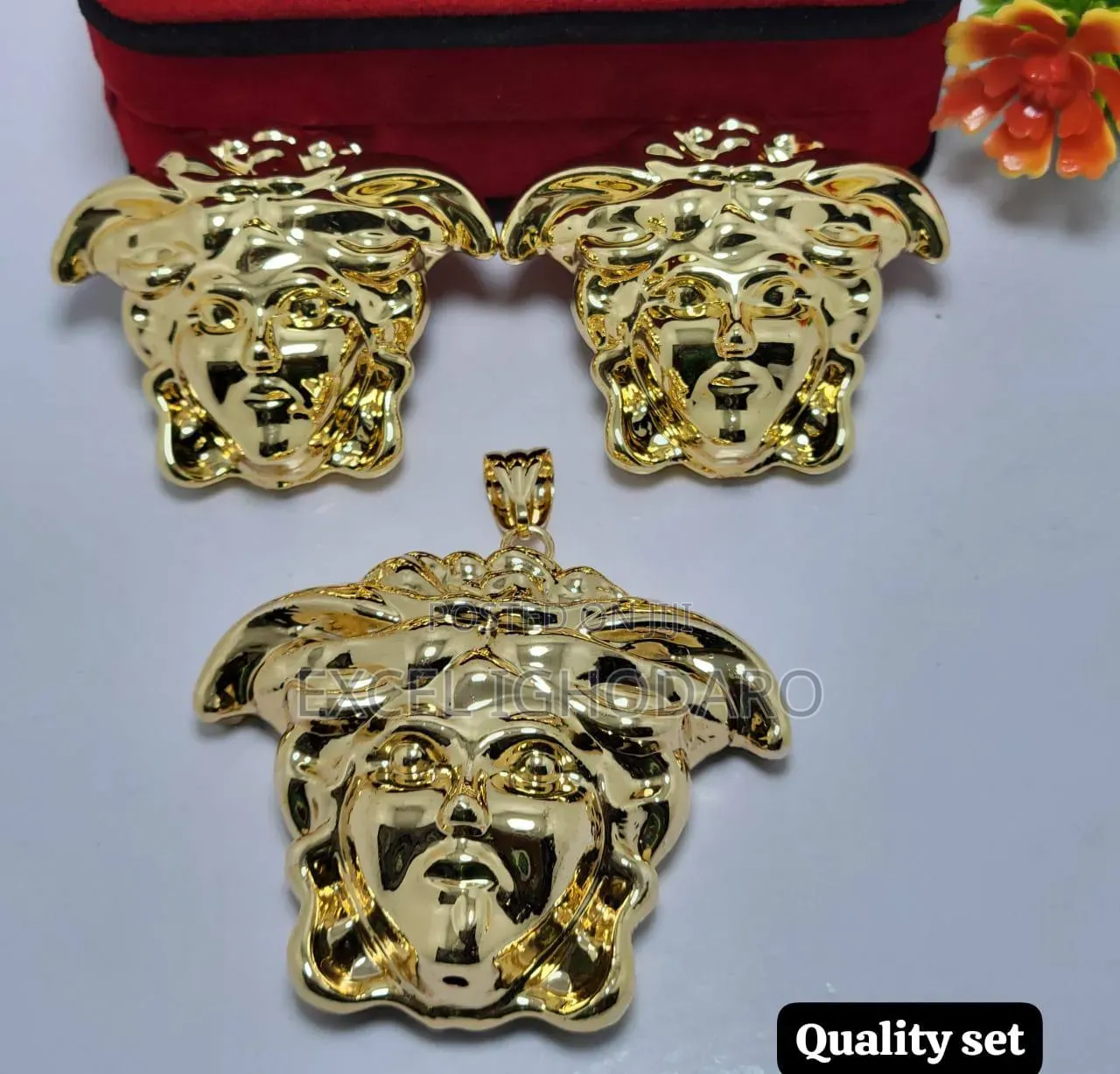 Complete Set of I.g Replica