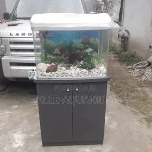 64 Litre Aquarium