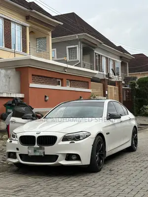 BMW 5 Series 2014 White