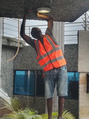 Professional Electrician