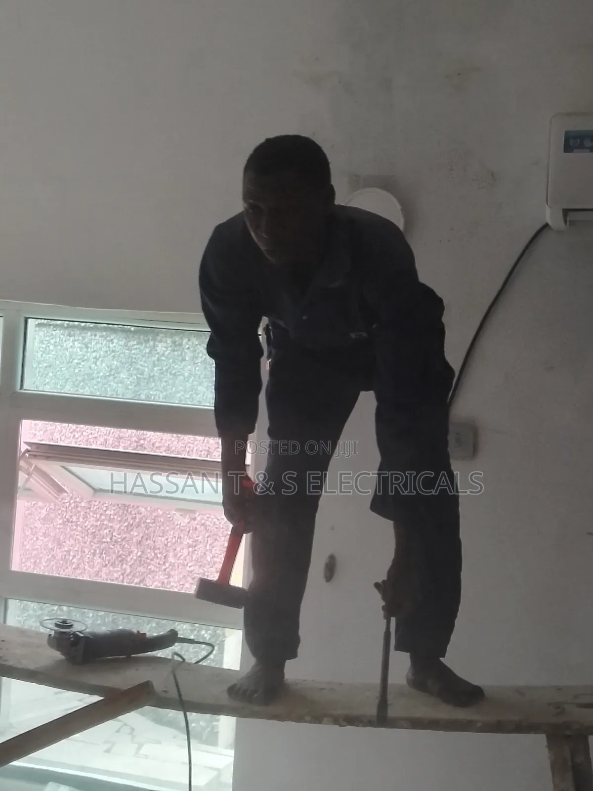 Professional Electrician