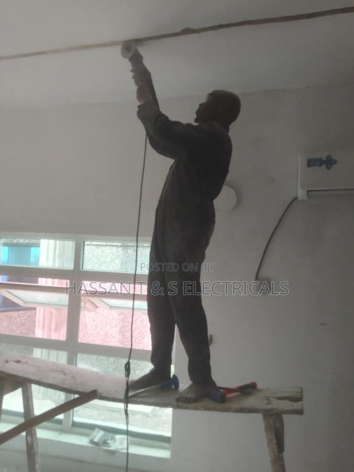 Professional Electrician