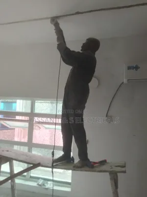 Professional Electrician