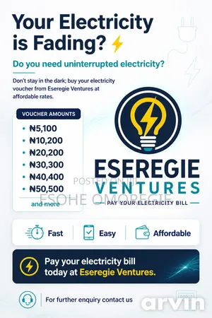 Electricity Supply