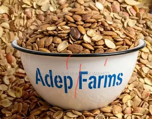 Premium Ogbono Seeds From Adep Farms – Fresh Original
