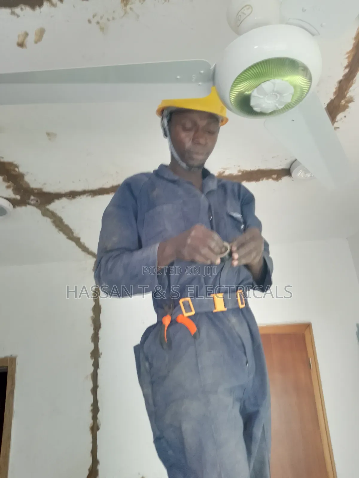 Professional Electrician