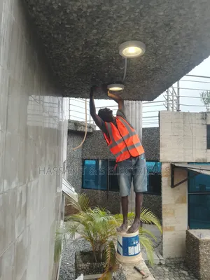 Professional Electrician