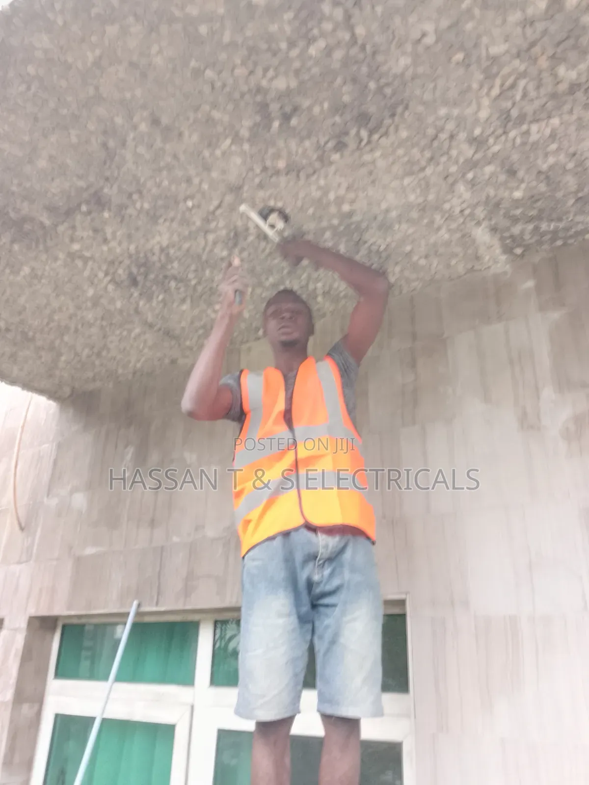 Professional Electrician