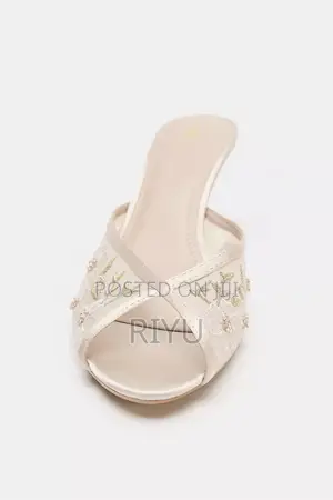 Zara Embroidered Mesh Mule Heels