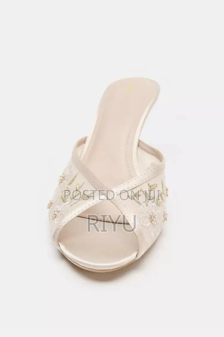 Zara Embroidered Mesh Mule Heels