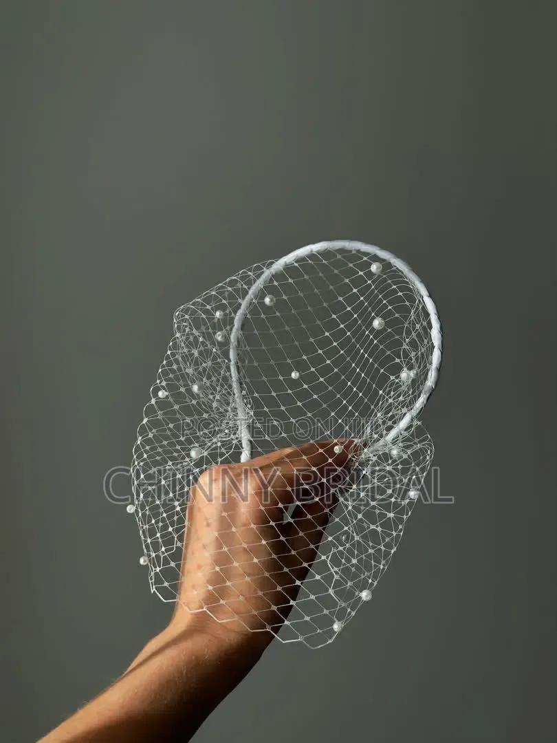 Cage Veil Fascinator