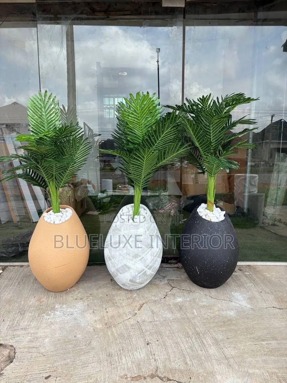 Flower and Flower Pot