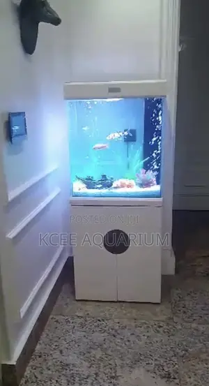 45 Litres Aquarium