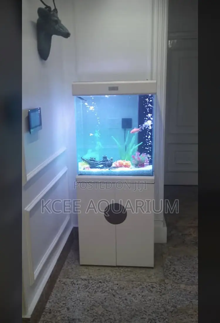 45 Litres Aquarium