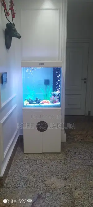 45 Litres Aquarium