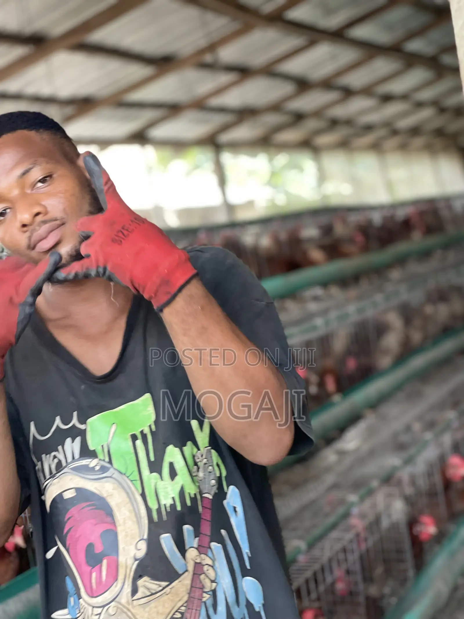Battery Cage
