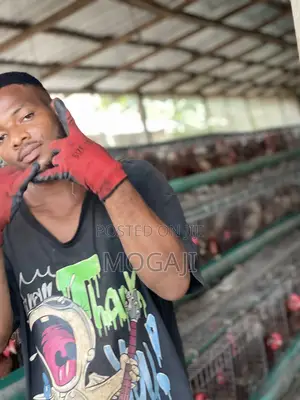 Battery Cage