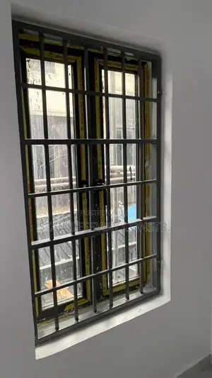 Window Burglary Metal Protector