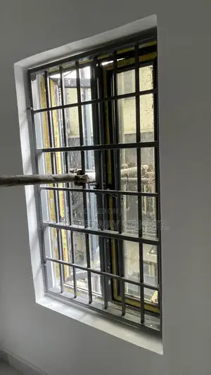 Window Burglary Metal Protector