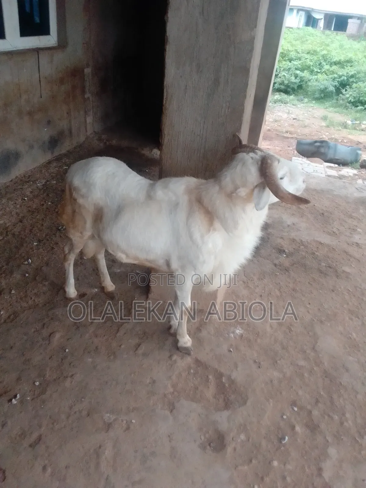 It Is a 4 Year Ram