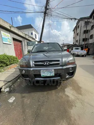 Hyundai Tucson 2009 Gray
